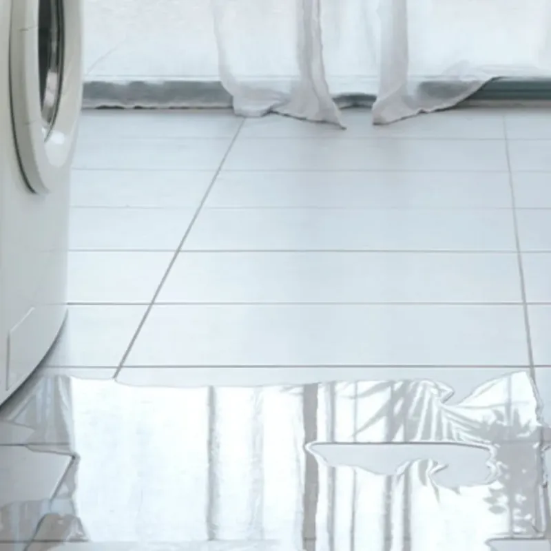 Appliance Leak Cleanup in Laguna Niguel, CA